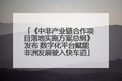 《中非产业链合作项目落地实施方案总纲》发布 数字化平台赋能非洲发展驶入快车道