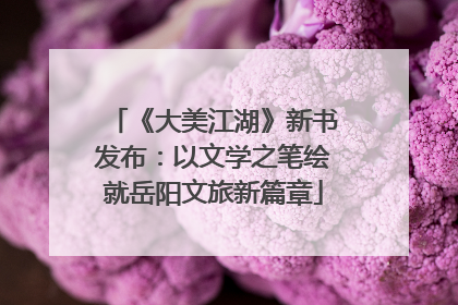 《大美江湖》新书发布：以文学之笔绘就岳阳文旅新篇章