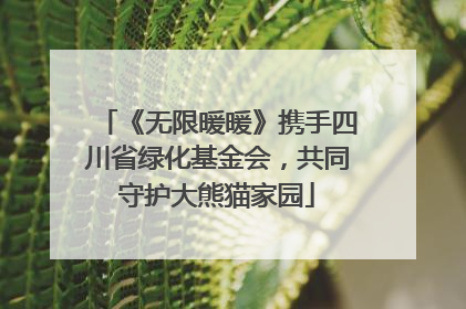 《无限暖暖》携手四川省绿化基金会，共同守护大熊猫家园
