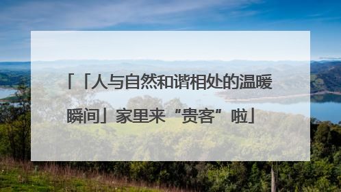 「人与自然和谐相处的温暖瞬间」家里来“贵客”啦