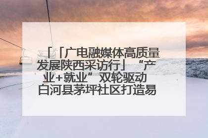 「广电融媒体高质量发展陕西采访行」“产业+就业”双轮驱动 白河县茅坪社区打造易地搬迁后扶新样本