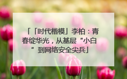 「时代楷模」李柏：青春绽华光，从基层“小白”到网络安全尖兵