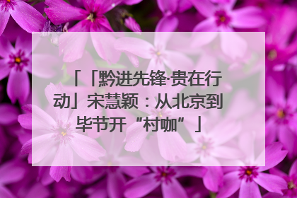 「黔进先锋·贵在行动」宋慧颖：从北京到毕节开“村咖”