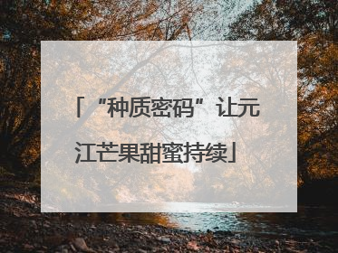 “种质密码”让元江芒果甜蜜持续