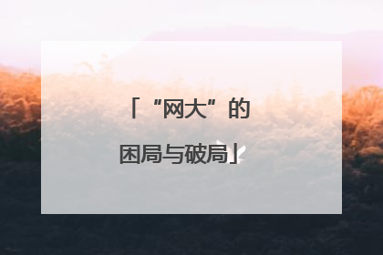 “网大”的困局与破局