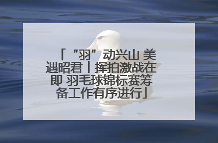 “羽”动兴山 美遇昭君丨挥拍激战在即 羽毛球锦标赛筹备工作有序进行