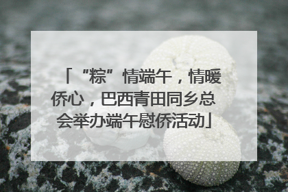 “粽”情端午，情暖侨心，巴西青田同乡总会举办端午慰侨活动
