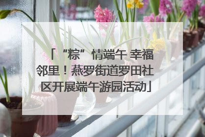 “粽”情端午 幸福邻里！燕罗街道罗田社区开展端午游园活动