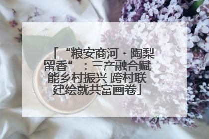 “粮安商河・陶梨留香”：三产融合赋能乡村振兴 跨村联建绘就共富画卷