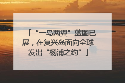 “一岛两翼”蓝图已展，在复兴岛面向全球发出“杨浦之约”