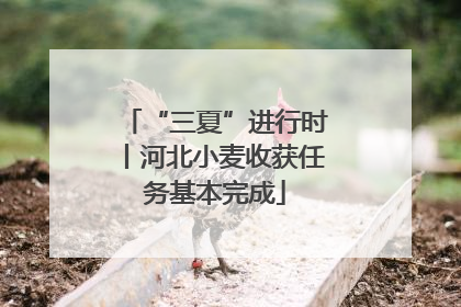 “三夏”进行时丨河北小麦收获任务基本完成