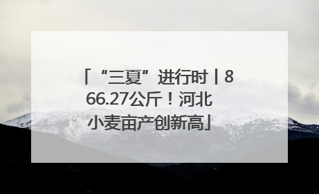 “三夏”进行时丨866.27公斤！河北小麦亩产创新高