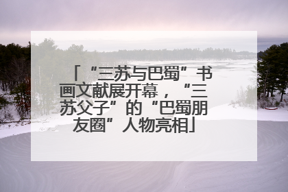 “三苏与巴蜀”书画文献展开幕，“三苏父子”的“巴蜀朋友圈”人物亮相