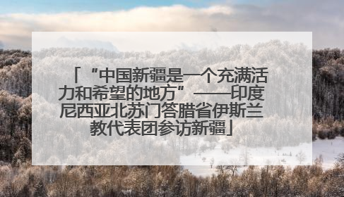 “中国新疆是一个充满活力和希望的地方”——印度尼西亚北苏门答腊省伊斯兰教代表团参访新疆