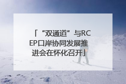 “双通道”与RCEP口岸协同发展推进会在怀化召开