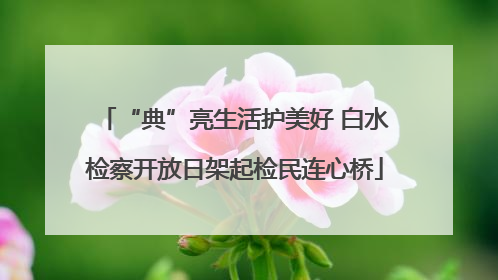 “典”亮生活护美好 白水检察开放日架起检民连心桥