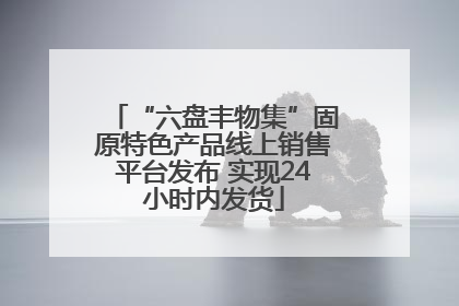 “六盘丰物集”固原特色产品线上销售平台发布 实现24小时内发货