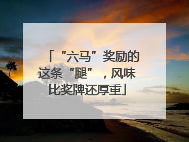 “六马”奖励的这条“腿”，风味比奖牌还厚重