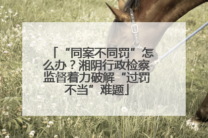 “同案不同罚”怎么办？湘阴行政检察监督着力破解“过罚不当”难题