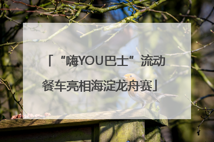 “嗨YOU巴士”流动餐车亮相海淀龙舟赛
