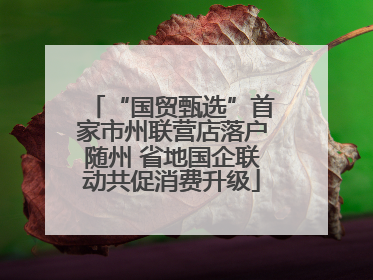 “国贸甄选”首家市州联营店落户随州 省地国企联动共促消费升级
