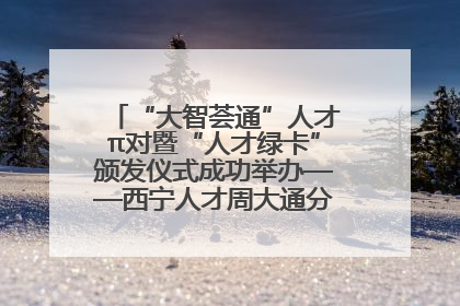 “大智荟通”人才π对暨“人才绿卡”颁发仪式成功举办——西宁人才周大通分会场亮点纷呈