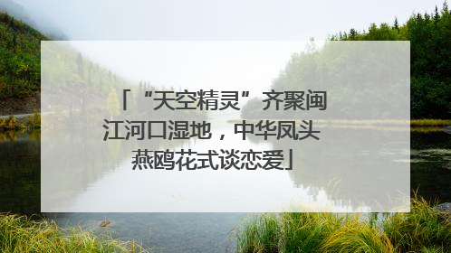 “天空精灵”齐聚闽江河口湿地，中华凤头燕鸥花式谈恋爱