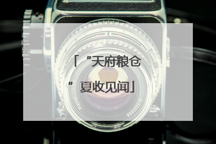 “天府粮仓”夏收见闻