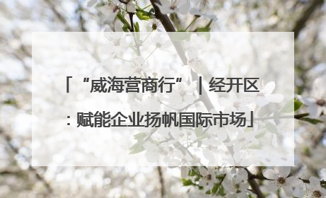 “威海营商行”｜经开区：赋能企业扬帆国际市场