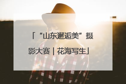 “山东邂逅美”摄影大赛｜花海写生