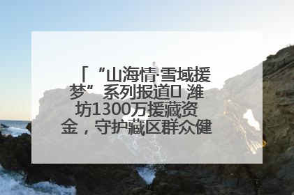 “山海情·雪域援梦”系列报道⑪ 潍坊1300万援藏资金，守护藏区群众健康“最后一公里”