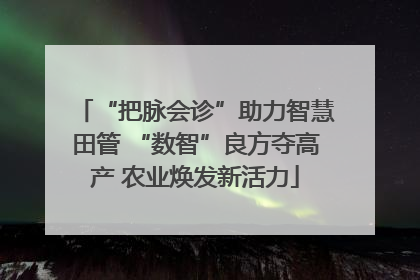 “把脉会诊”助力智慧田管 “数智”良方夺高产 农业焕发新活力