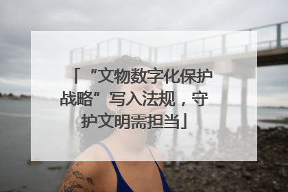 “文物数字化保护战略”写入法规，守护文明需担当