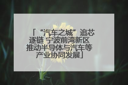 “汽车之城”追芯逐链 宁波前湾新区推动半导体与汽车等产业协同发展