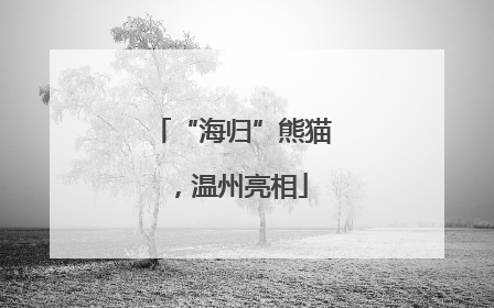 “海归”熊猫，温州亮相