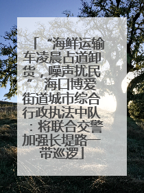 “海鲜运输车凌晨占道卸货，噪声扰民” 海口博爱街道城市综合行政执法中队：将联合交警加强长堤路一带巡逻