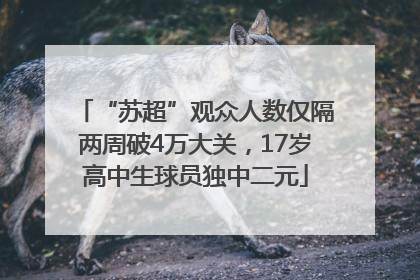 “苏超”观众人数仅隔两周破4万大关，17岁高中生球员独中二元