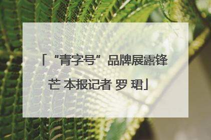 “青字号”品牌展露锋芒 本报记者 罗 珺