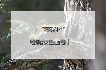 “零碳村” 绘就绿色画卷