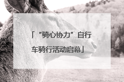 “骑心协力”自行车骑行活动启幕
