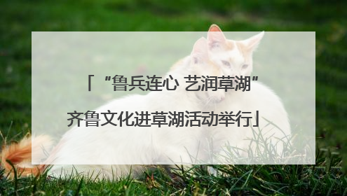 “鲁兵连心 艺润草湖”齐鲁文化进草湖活动举行
