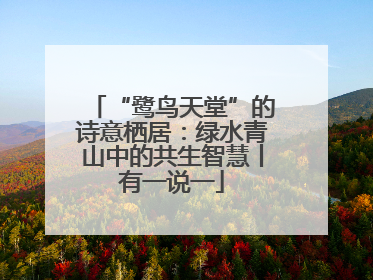 “鹭鸟天堂”的诗意栖居：绿水青山中的共生智慧丨有一说一