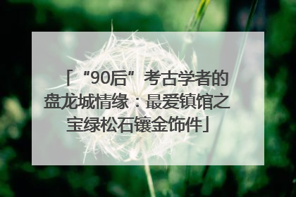 “90后”考古学者的盘龙城情缘：最爱镇馆之宝绿松石镶金饰件