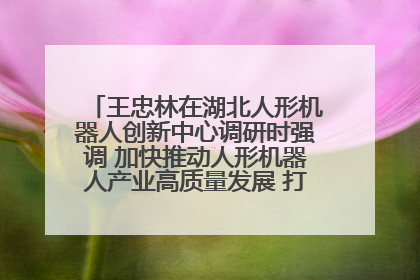 王忠林在湖北人形机器人创新中心调研时强调 加快推动人形机器人产业高质量发展 打造具有全国影响力的研发创新基地
