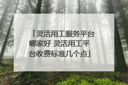 灵活用工服务平台哪家好 灵活用工平台收费标准几个点