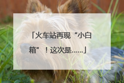 火车站再现“小白箱”！这次是……