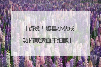 点赞！歙县小伙成功捐献造血干细胞