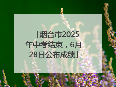 烟台市2025年中考结束，6月28日公布成绩