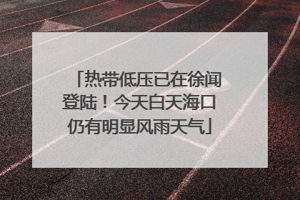 热带低压已在徐闻登陆！今天白天海口仍有明显风雨天气