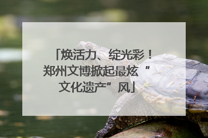 焕活力、绽光彩！郑州文博掀起最炫“文化遗产”风